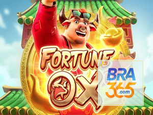 BRA365 login — painel de entrada no app oficial